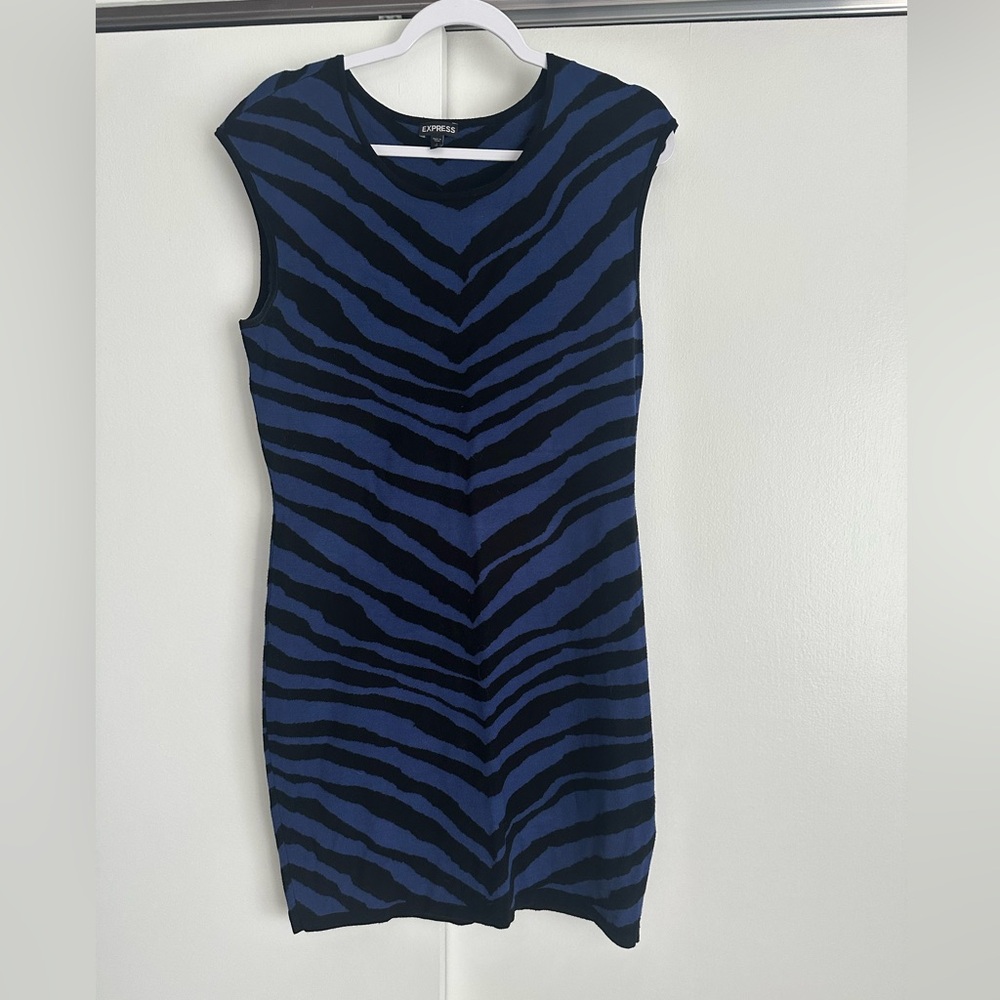 Express Blue and Black Zebra Print Sweater Mini Dress